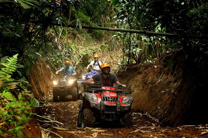 ATV Combo Horseback Riding, ATV, Ziplines, Cenote and Lunch - Cooling off in the Mayan cenote