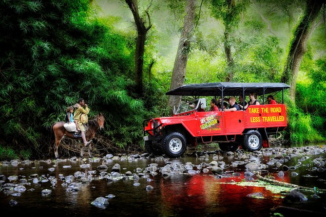 ATV Quad Bike and Zip Line Adventure Tour (Departs Nadi) - Zip Fiji Momi and 16 lines above the forest