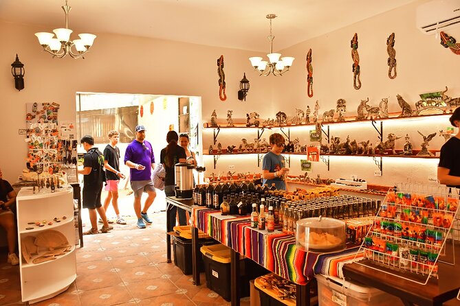 ATV, Zipline and Cenote at Extreme Adventuring with Tulum Pickup - Safety rules and practical limits