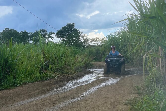 ATV, Zipline, Horseback, Bamboo Rafting and Rick’s Cafe - Ziplining with a patient crew