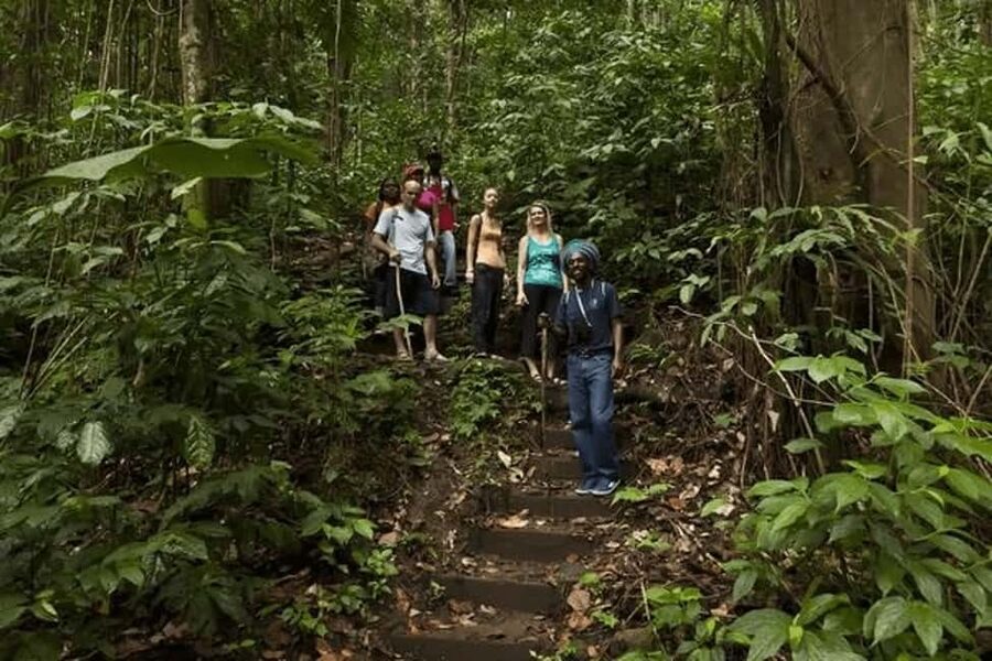 Babonneau/Castries: Rainforest Zip Line, Tram, and Hike Tour - The aerial tram: a quiet view from above