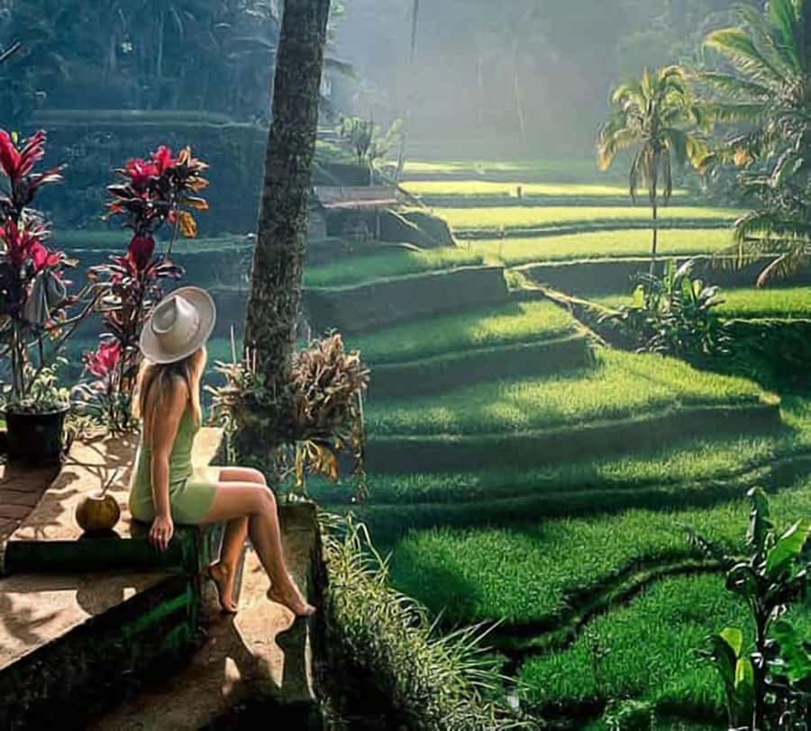 Bali: Ubud Day Tour with Swing and Zipline - Reading the Terraces at Tegallalang