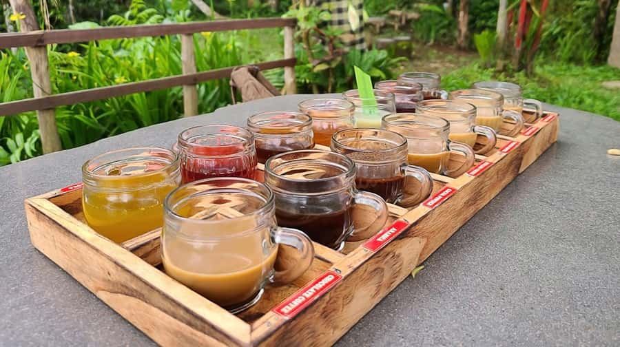Bali: Ubud Day Tour with Swing and Zipline - Visiting Tirta Empul Temple