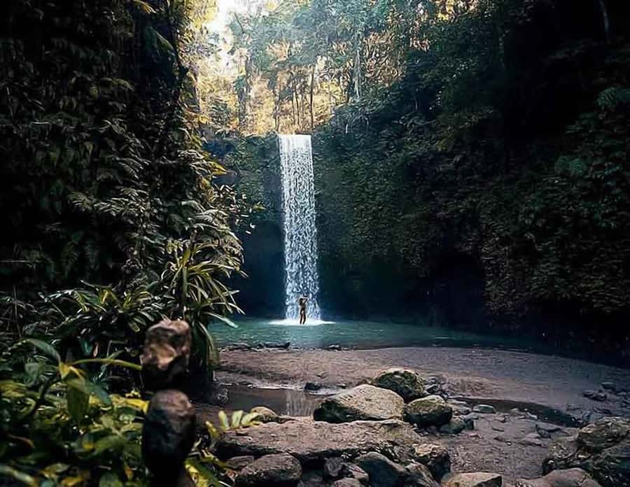 Bali: Ubud Day Tour with Swing and Zipline - The Day’s Timing and Transport