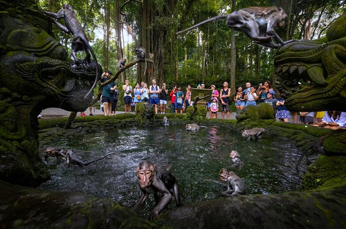 Bali Ubud Zipline, Monkey Forest and Waterfall Adventure - Walking through the Sacred Monkey Forest