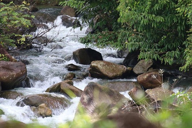 Bamboo Rafting, ATV Riding and Zip Line Tour From Phuket - Bamboo rafting through jungle waterways