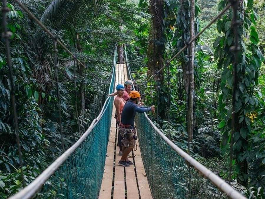 Belize: Thrilling Zipline Adventure at Bocawina Rainforest - Key points to know before you go