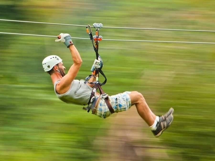 Belize: Thrilling Zipline Adventure at Bocawina Rainforest - The rainforest view from 12 platforms