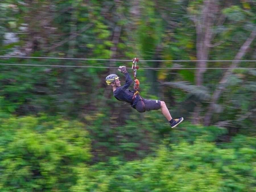 Belize: Thrilling Zipline Adventure at Bocawina Rainforest - What the 90 minutes really includes