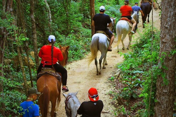 Best ATV & Mavericks Experience in Cancun + Cenote + Zip Lines - Three zip lines, or five with the Maverick option