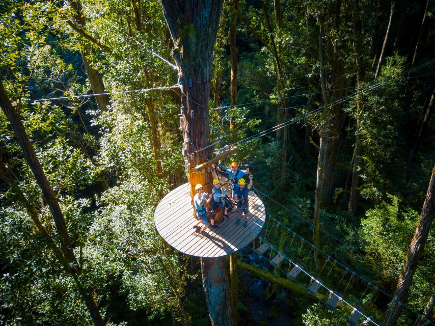 Big Island: 3-Hour Kohala Canopy Zipline Adventure - How safe and demanding is the course?