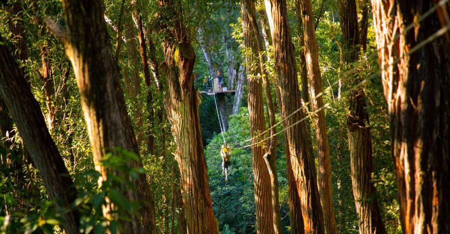 Big Island: 3-Hour Kohala Canopy Zipline Adventure - Practical preparation for the day