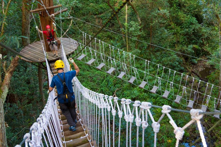 Big Island: 3-Hour Kohala Canopy Zipline Adventure - Should you book the Kohala Canopy Zipline?