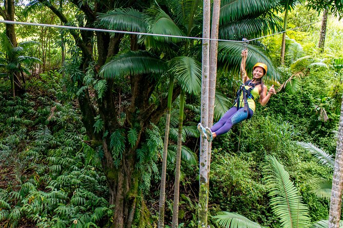 Big Island: 8-Zipline & Suspension Bridge Waterfall Adventure - Five details that make this Big Island zipline different