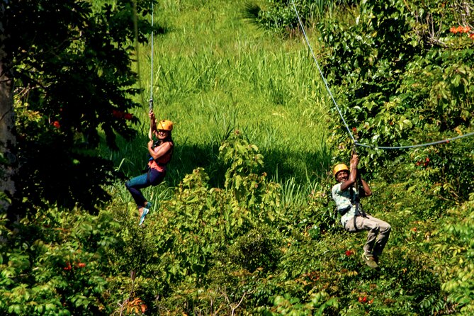 Big Island: 8-Zipline & Suspension Bridge Waterfall Adventure - Learning about rainforest plants and Hawaiian culture