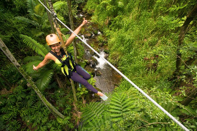 Big Island: 8-Zipline & Suspension Bridge Waterfall Adventure - Is $237.70 a fair price?