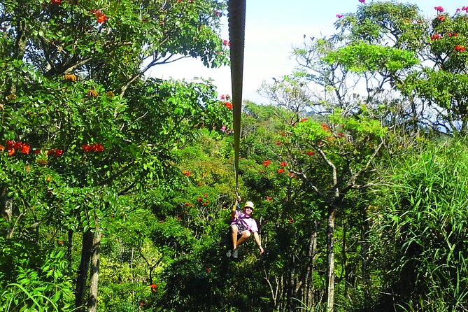 Big Island: 8-Zipline & Suspension Bridge Waterfall Adventure - Crossing the suspension bridge