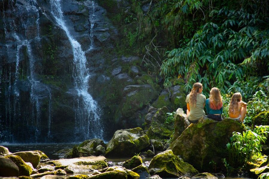 Big Island: Full-Day Kohala Zipline and Waterfall Adventure - Should you book it?