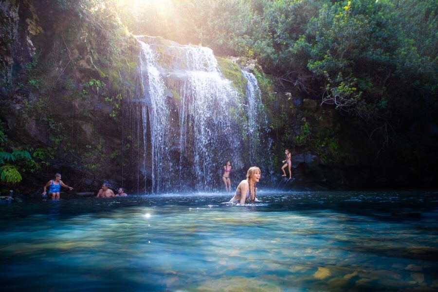 Big Island: Full-Day Kohala Zipline and Waterfall Adventure - From Kona to Hawi, the day starts on the road