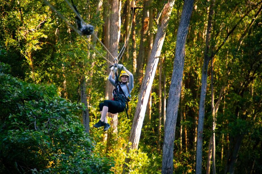 Big Island: Full-Day Kohala Zipline and Waterfall Adventure - The mountain picnic makes lunch part of the scenery