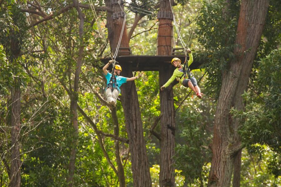 Big Island: Full-Day Kohala Zipline and Waterfall Adventure - Swimming beneath a private waterfall