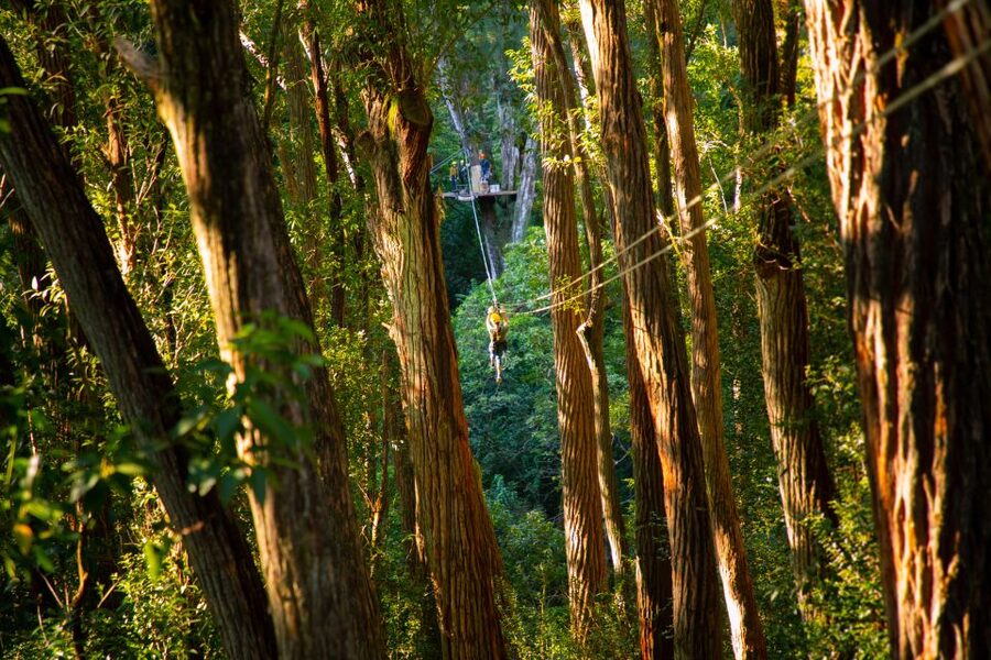Big Island: Full-Day Kohala Zipline and Waterfall Adventure - What $361 includes, and where the value lies