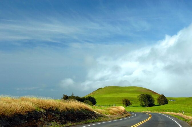 Big Island Kohala Canopy Zipline Adventure - Key Points To Know Before You Go
