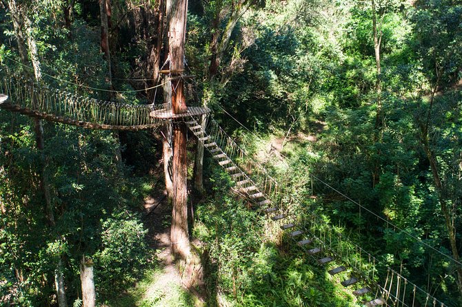 Big Island Kohala Canopy Zipline Adventure - Rope Bridges Add a Different Kind of Nerve
