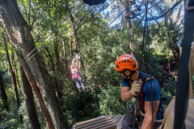 Big Island Kohala Canopy Zipline Adventure - Is the $256.54 Price Fair?