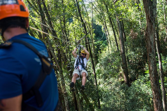 Big Island Kohala Canopy Zipline Adventure - Eight Ziplines Through the Treetops