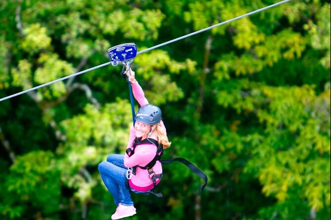 Big Island Zipline Tour Near Akaka Falls (250-ft Waterfall!) - Key points at a glance