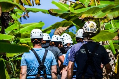 Big Island Zipline Tour Near Akaka Falls (250-ft Waterfall!)