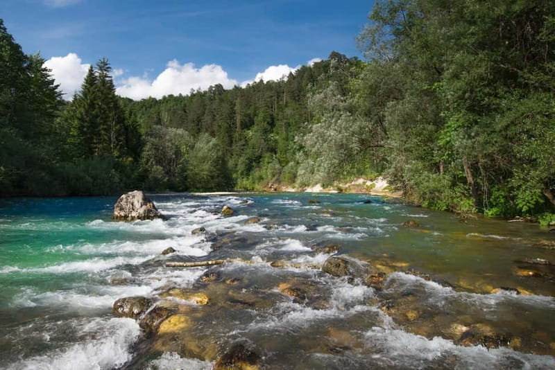 Bled: Europe's Longest Zipline Adventure over Dolinka River - The walking between platforms is the real physical test