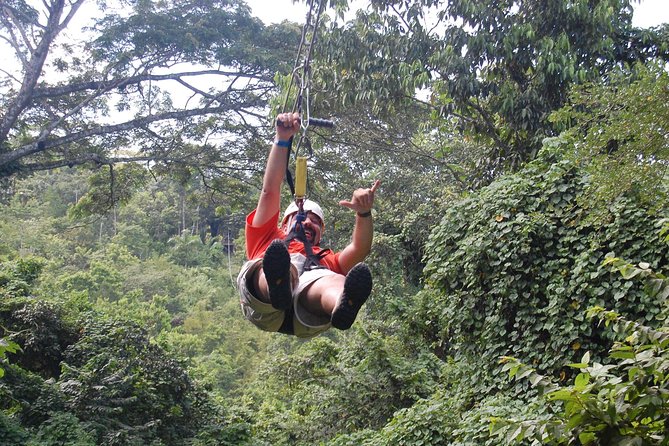 Blue Hole, Zipline and Dunn's River Falls from Falmouth - Ziplining adds a high view of the falls