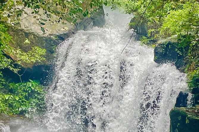 Botanic Garden - Paradise Cave - Zipline - Mudbath at Dark Cave - Why this Phong Nha day has such broad appeal