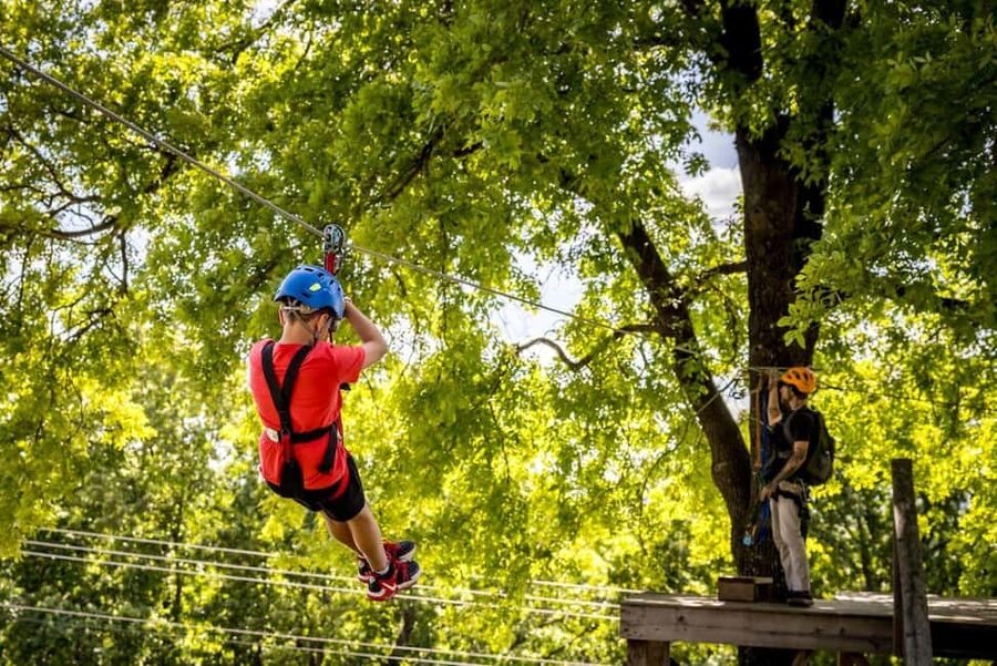 Branson: Zipline Canopy Tour - Eight flights through the Ozark treetops