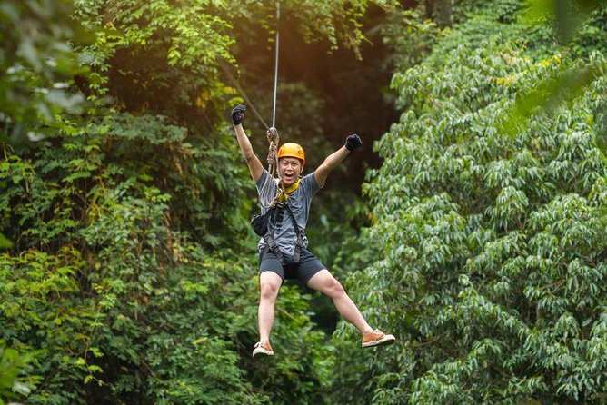 Bransons Best Zipline - Great Woodsman Canopy Tour - Key points at a glance