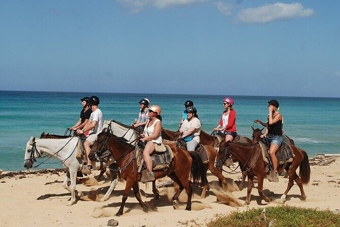 Buggy Horses and Zip Line from Punta Cana with Lunch Included - Three Punta Cana adventures in one morning