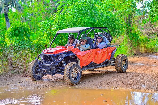 Buggy Horses and Zip Line from Punta Cana with Lunch Included - Lunch, transport, and the value of $95