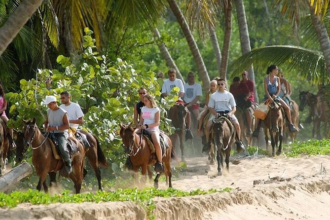 Buggy Horses and Zip Line from Punta Cana with Lunch Included - Buggy riding through Punta Cana dirt roads