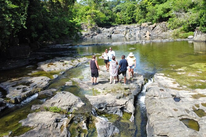 Buggy Ride, Horseback, Zipline,Eco Farm,Macao Beach - Horseback riding on natural paths