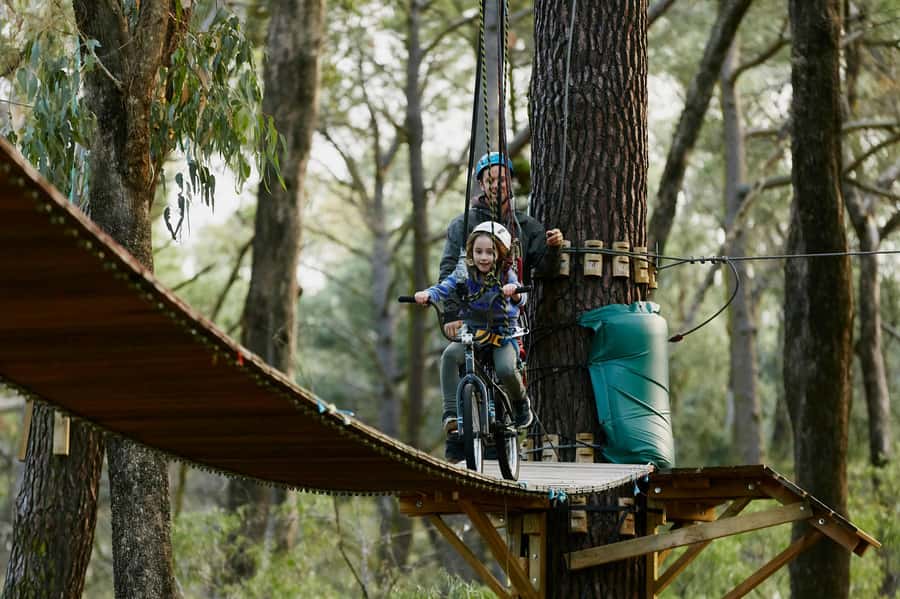Busselton: Forest Adventure with Zip Lining and Rope Course - Should you book it?