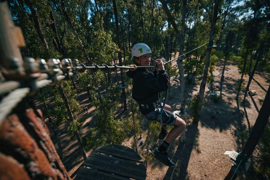 Busselton: Forest Adventure with Zip Lining and Rope Course - What the $41 experience gives you