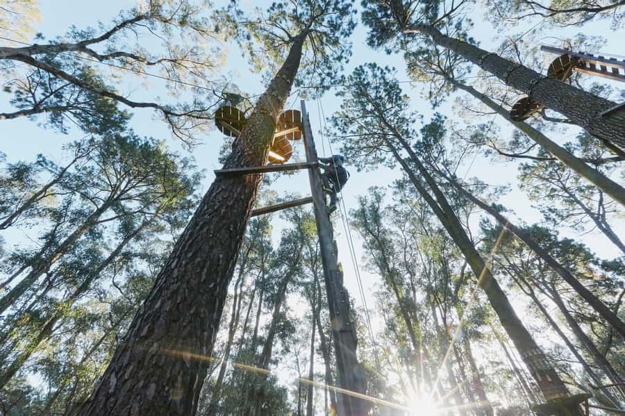 Busselton: Forest Adventure with Zip Lining and Rope Course - Heat, clothing, and the small practical details
