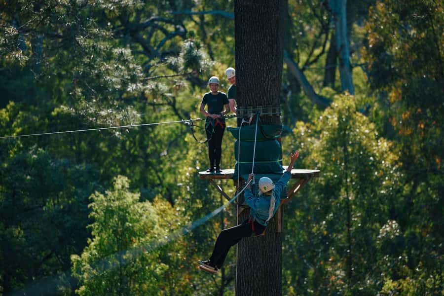 Busselton: Forest Adventure with Zip Lining and Rope Course - Who should book this Busselton activity?
