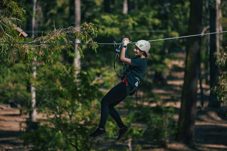 Busselton: Forest Adventure with Zip Lining and Rope Course - Starting low at 3 metres