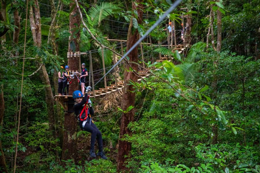 Cairns: Daintree Rainforest Canopy Ziplining Tour - Reaching Treetops Adventure From Cairns
