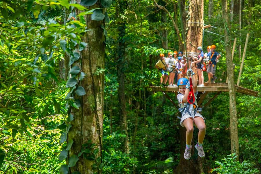 Cairns: Daintree Rainforest Canopy Ziplining Tour - Best For Families, Beginners, and Active Sightseers