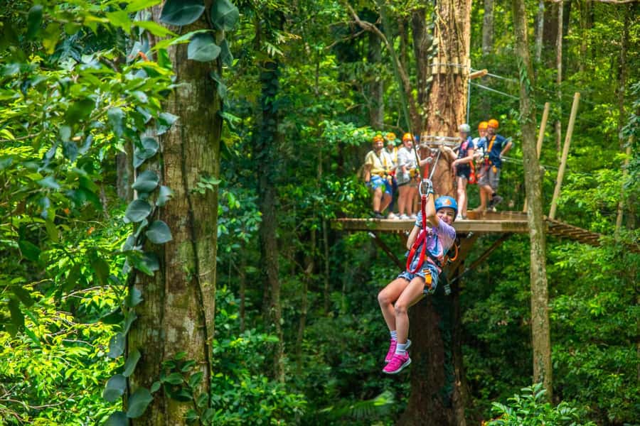 Cairns: Daintree Rainforest Canopy Ziplining Tour - Weather, Nerves, and Practical Planning