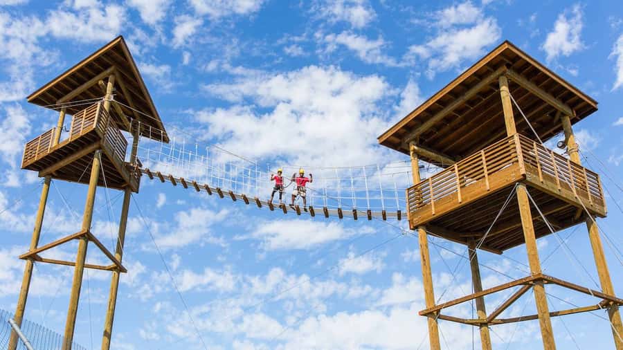 Camp Verde: Predator Zip Lines Guided Tour - Key points to know before you book